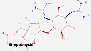 Aminoglycosides A Structural Overview [upl. by Yaakov]