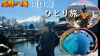 【山梨ひとり旅】富士の絶景！忍野八海amp河口湖バスで巡るひとり旅vlog [upl. by Aisatal]