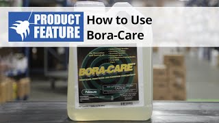 How to Use BORACARE Borate Wood Treatment [upl. by Tshombe]