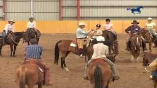 Buck Brannaman Horse Rush TV Australia Part 2 [upl. by Yrram757]