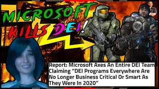 Microsoft NUKES Entire DEI Department We are WINNING [upl. by Brosy99]