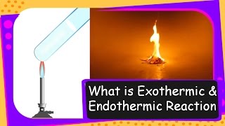 Science – What are Exothermic and Endothermic Reactions – Reaction Types Part 3 – English [upl. by Tish]