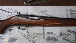 How to Disassemble Care and Maintain the Ruger 1022 Properly [upl. by Rayle]