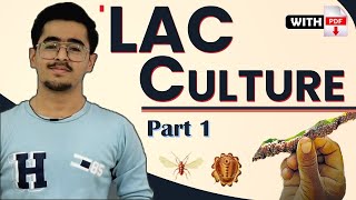 Lac Culture  Importance Species Of Lac Insects Morphology Life cycle Host Plants PART 1 [upl. by Uhile]