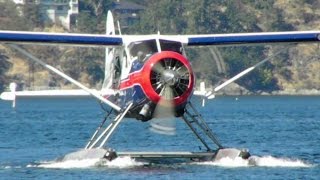 de Havilland DHC2 Beaver landing from Saltspring Island to Maple Bay [upl. by Mailiw870]