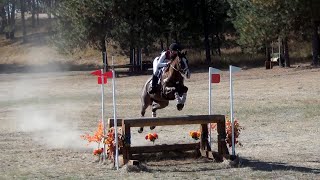 Renee Kalkman Spokane Sport Horse Farm HT September 2024 [upl. by Airyt]