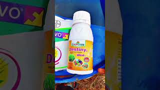 Spray combination for guava fungicide nativo insecticide chandika 505 amp tonic destiny plant regular [upl. by Sufur39]