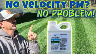 Is Velocity PM Needed For A Nice Lawn [upl. by Bush945]