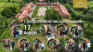 1 Gut Schönweide ONLIVE Fohlenauktion 17 August 2024  DerTrailer [upl. by Namrac]