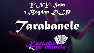 YNY Sebi x Bogdan DLP  Tarabanele 🥁 KARAOKE [upl. by Trueblood]