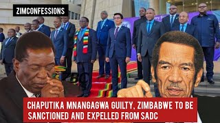 Chaputika Mnangagwa Guilty Zimbabwe To Be Sanctioned And Expelled From SADC [upl. by Llerad]