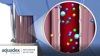 Aquadex Therapy  Mechanism of Action [upl. by Annayi]