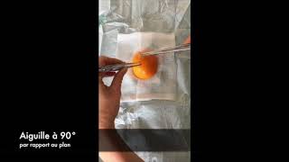 Tuto 1  Le point de suture [upl. by Takara]