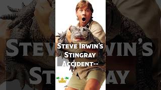 Steve Irwin’s Stingray Accident  Kingdumb History shorts youtubeshorts history podcast gator [upl. by Pascoe]