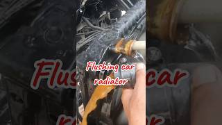 Flushing car radiator [upl. by Alan575]