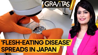 Gravitas Flesheating disease spreading at record rate in Japan [upl. by Gnoz203]