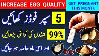 5 Supper Foods To increase Egg Quality 99 And Get Pregnant This Month How To Conceive dr tahir [upl. by Ambrose]