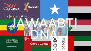 Jawaabtii DNA Qaybti 1baad Somali DNA Results Part 1 [upl. by Ebanreb]