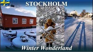 STOCKHOLM Winter Wonderland in Herrängens gård  Explore amp Enjoy Sweden nature with us [upl. by Deni]