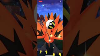 Galar zapdos in Pokemon go [upl. by Annaeoj437]