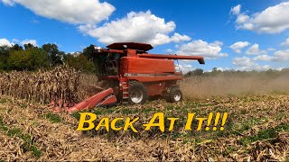 Back At It Corn 🌽 Harvest 2024 [upl. by Htir]