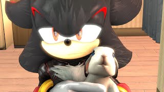 Shadow The Hedgehog the sweetest scene [upl. by Lidstone705]