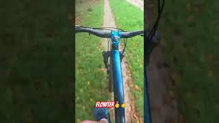 Pov of Flowter at Okeford hill bike park [upl. by Sankaran]