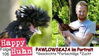 E106 Pawlowskaja HÃ¼hner im Rasseportrait bei HAPPY HUHN Russische HaubenhÃ¼hner mit Bart Pavlovs [upl. by Ramiah]