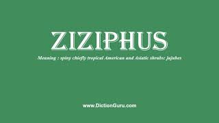 ziziphus How to pronounce ziziphus with Phonetic and Examples [upl. by Aholla477]