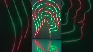 LED Neon Rope Light Kit Make Your Own Neon Sign  DIY [upl. by Burrill735]