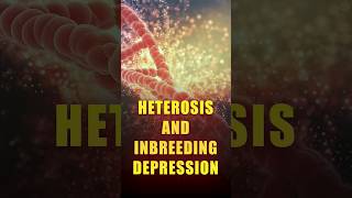 🛑HETEROSIS AND INBREEDING DEPRESSION agriculture icarsrf icarjrf plantbreeding geneticscuet [upl. by Happy]