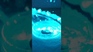 Slow Motion Bioluminescence Metal Washer Activates Glowing Microalgae  PyroFarms Experiment [upl. by Nguyen]