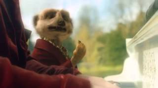 Meerkat Duet advert [upl. by Earahc]