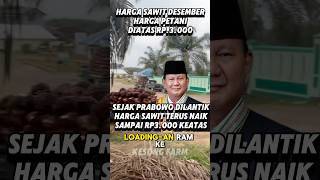 HARGA SAWIT TERBARU HARI INI DI PABRIK  HARGA PETANI DIATAS Rp3000 SAMPAI UPDATE SELANJUTNYA 169 [upl. by Nnyllatsyrc]