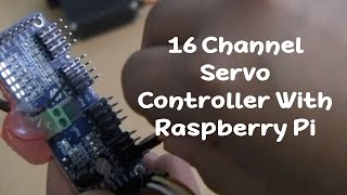 How to Use 16 Channel PWM Controller With Raspberry Pi [upl. by Otreblig]