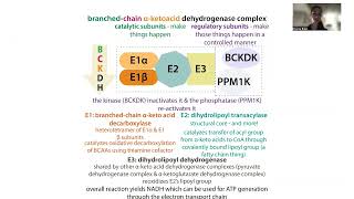 Branched chain amino acid breakdown amp biochemistry of isoleucine [upl. by Brandea]