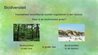 Wat is biodiversiteit [upl. by Tews]