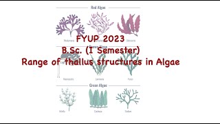 Range of thallus structure in algae [upl. by Norred806]