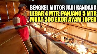 IKUTI CARANYA LAHAN SEMPIT BISA JADI KANDANG AYAM 500 EKOR AYAM JOPER [upl. by Rafaela254]