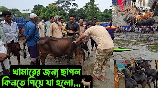 খামারের জন্য ছাগল কিনতে গিয়ে যা হলো🐐 [upl. by Aninay]