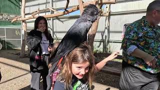 MALENY BIRD SANCTUARY amp BOTANIC GARDENS [upl. by Adlog]