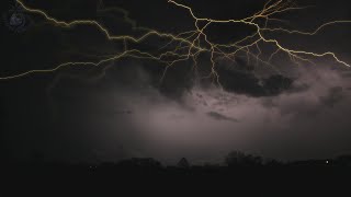 ⚡ Rolling Thunder Sleep Ambience with Clear Relaxing Sounds of Lightning and Rain Falling on Leaves [upl. by Llennhoj]