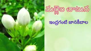 Mallela Chatuna మల్లెల చాటున Endraganti Janakibala gari stories Read by Devi [upl. by Sitoeht637]