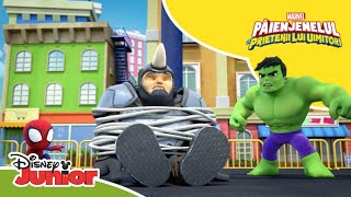 💪 Cine e cel mai puternic  Păienjenelul Marvel și prietenii lui uimitori  Disney Junior România [upl. by Mar]