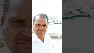 Kuwait ka seen song music newsong live dance comedy arvind bhojpurisong funny arvindra [upl. by Holle]