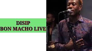 DISIP BON MACHO LIVE GAZMAN COULEUR [upl. by Kalil]