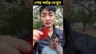 বন্ধুদের আনারসের ক্যান্ডি না দিলে যা হয় 🥺 Pineapple Jelly Candy🍍 Facts Bangla shorts viral facts [upl. by Inaniel49]