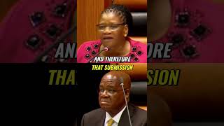 Apartheids Impact Truths Unveiled in Parliament Today [upl. by Neeham941]