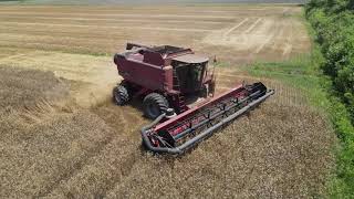 Winter Wheat Harvest in North Carolina [upl. by Ennoved792]