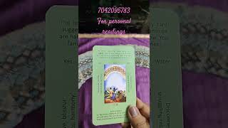 yes no tarot reading  message from universe  guidance tarot reading [upl. by Antonietta]